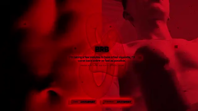 davesinner Webcam-Show
