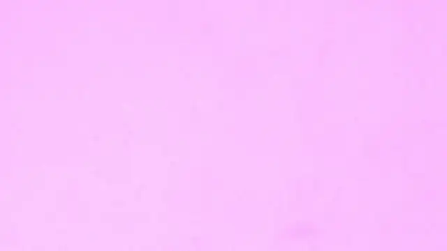 Sachi_Meow 라이브 XXX 채팅