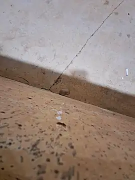Negodabenga Pertunjukan Webcam