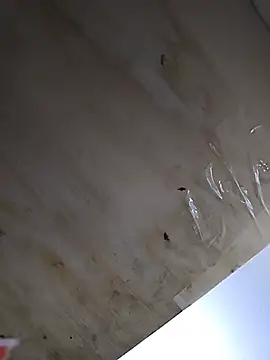 Chat XXX Live MrcockB