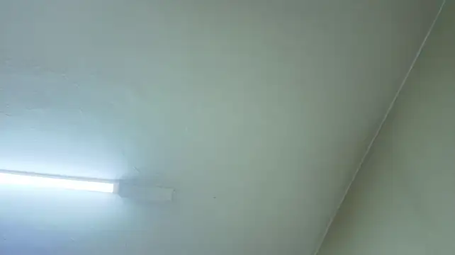 Chat +18 de mia_adams_bm ao vivo