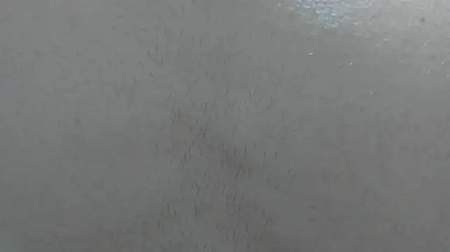 Rocky_Muscle's Live XXX Chat