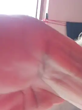 XXXking26 – Naživo XXX chat