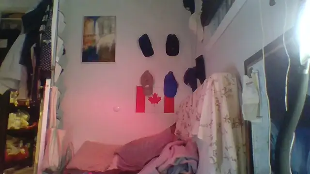 Show webcam de MrCleangreyxtc
