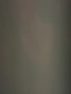 TheDime লাইভ XXX চ্যাট