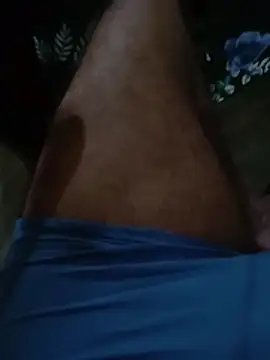 MSCC0n Webbikameraesitys