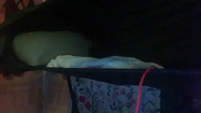 her4life webkamerás műsora