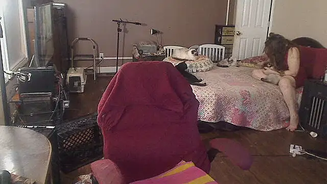 Ireallysquirt Live XXX-Chat