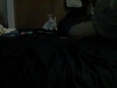 Chat XXX en directo de Silencio26