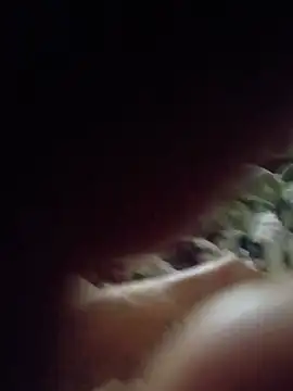 Str8ANIMAL: απευθείας συνομιλία ΧΧΧ