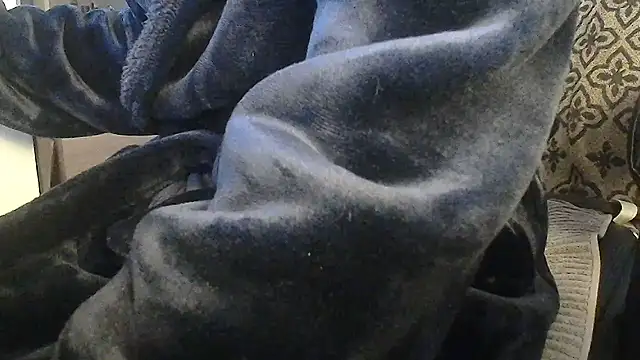 pau65vb 라이브 XXX 채팅