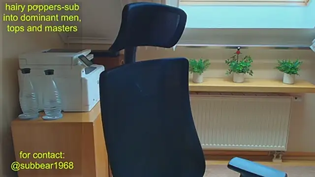 subbear1968 Live XXX-chat