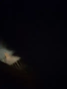 TheGoldenBoldy321's Live XXX Chat