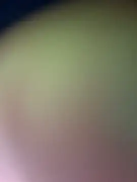 UrHellBri-L Obrolan Langsung XXX