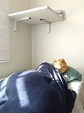 AcetousAbb 라이브 XXX 채팅