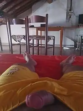 alex_15cmn Webbikameraesitys