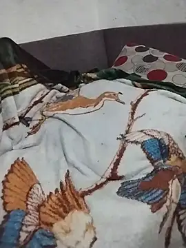 eroos_twink 라이브 XXX 채팅