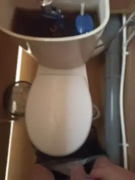 GoodToonDick XXX чат на живо