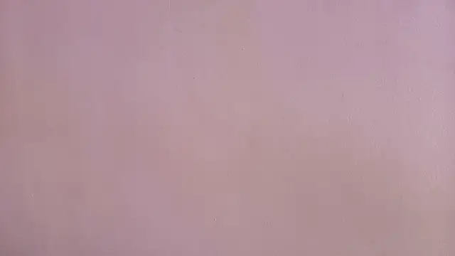 AprillRoss 现场XXX聊天