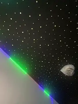Just-Lilly Live XXX-Chat