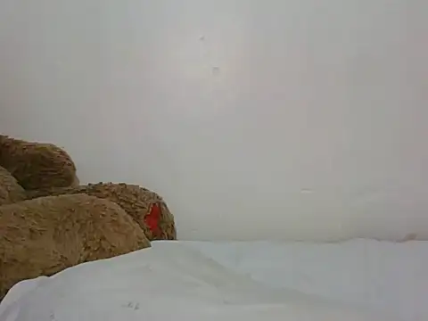 Živý XXX chat shugabaibe