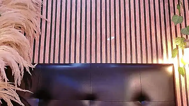 Hiddenhotcake Webcam Show