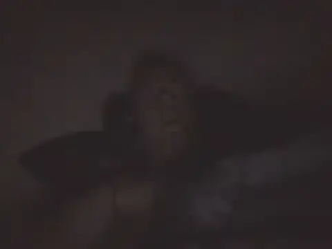 SHARPSkinhead webcam show