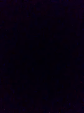 ThievingHorde's Live XXX Chat