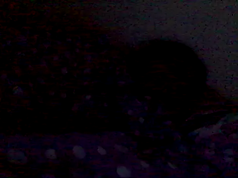 Show de _bahya na webcam