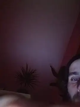 DeHusumer87n Webbikameraesitys