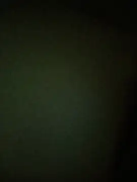 Chat +18 de Dante_Knox ao vivo