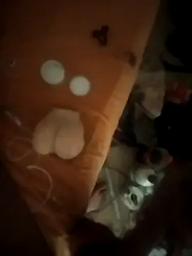 benjicunnycyprine 라이브 XXX 채팅