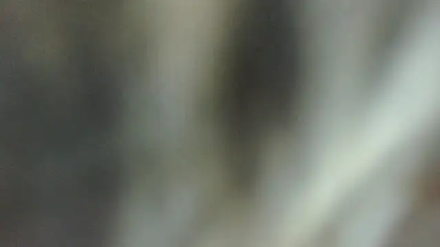 Živý XXX chat ROOKERT