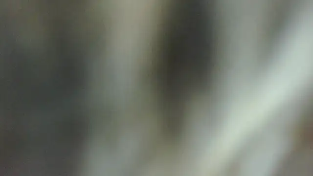 Chat +18 de ROOKERT ao vivo