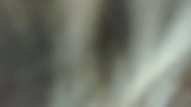 Chat XXX ao vivo de ROOKERT