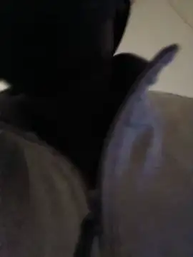 Blu334 Show in webcam