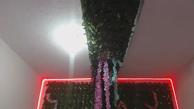 Czat XXX na żywo – adara_cute_69