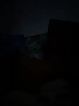 mrgabb's Webcam Show