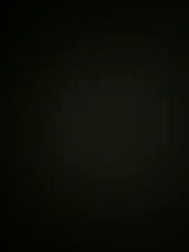 Flaquitocurioson Webbikameraesitys
