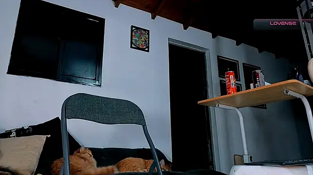SilvaBranko Live XXX-chat