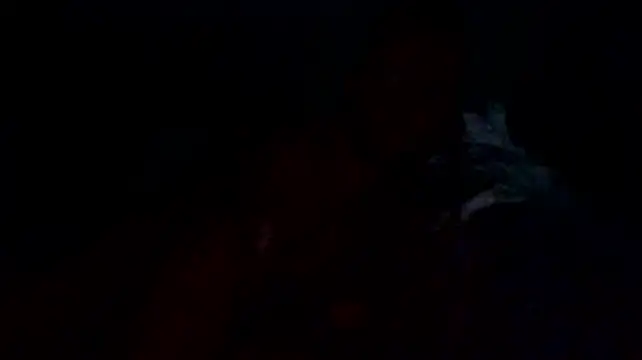 FLAcloudydick Live XXX Chat