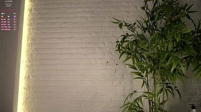 Chat +18 de MonetLeitman ao vivo