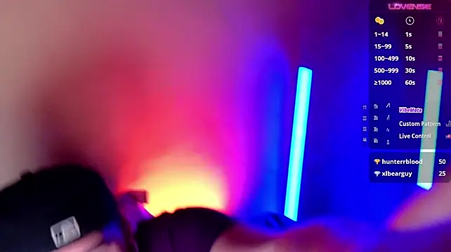 Show de dom_theo na webcam