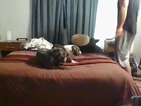 tanobighorse Chat XXX in diretta