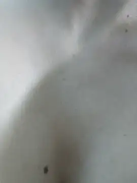 Chatroom XXX en direct de PUNAM456