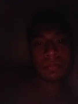 Show webcam de mask011