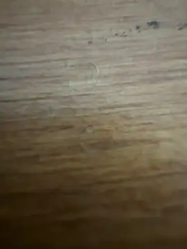 Sexyfemm_ Webcam show