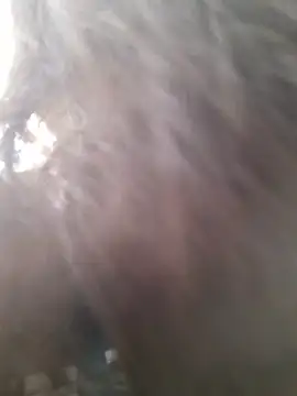 rposhta1991's Live XXX Chat