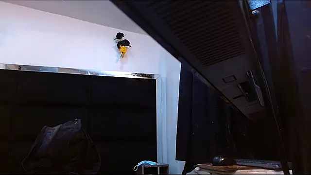 Chatroom XXX en direct de StefyFerrer