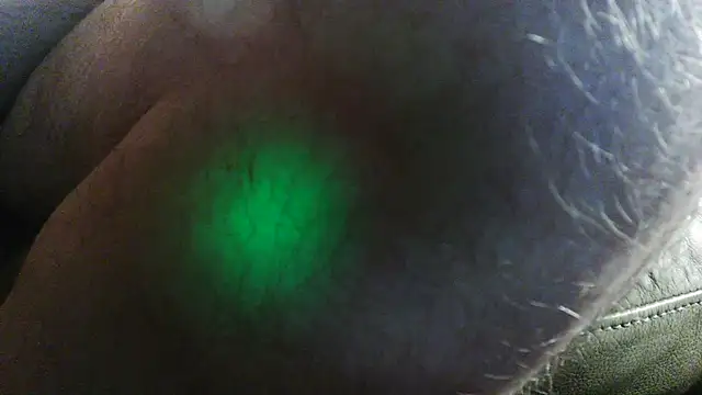 Czat XXX na żywo – BronzeLeaf247